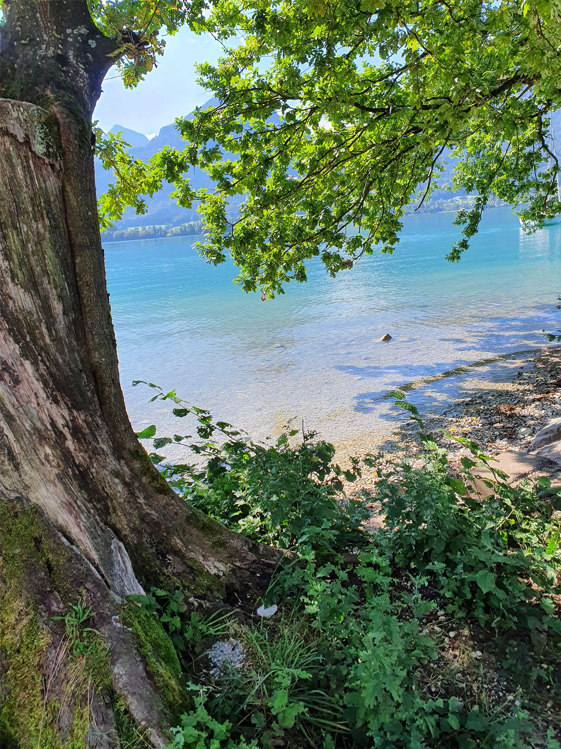 Leistungen